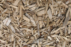 biomass boilers Llwydcoed